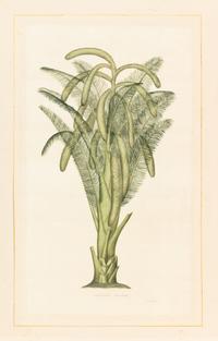 La Roche Laffitte