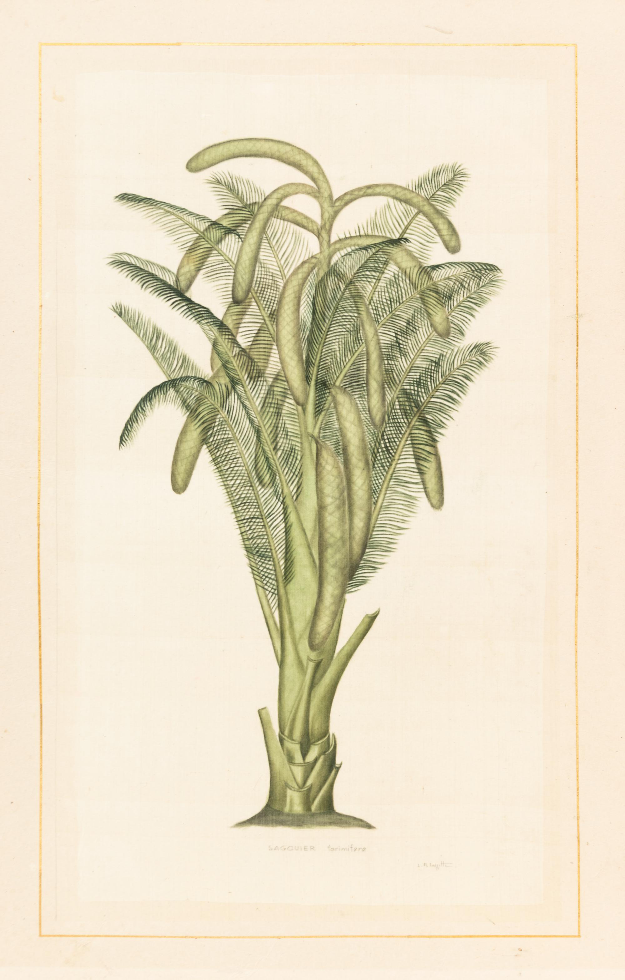 La Roche Laffitte