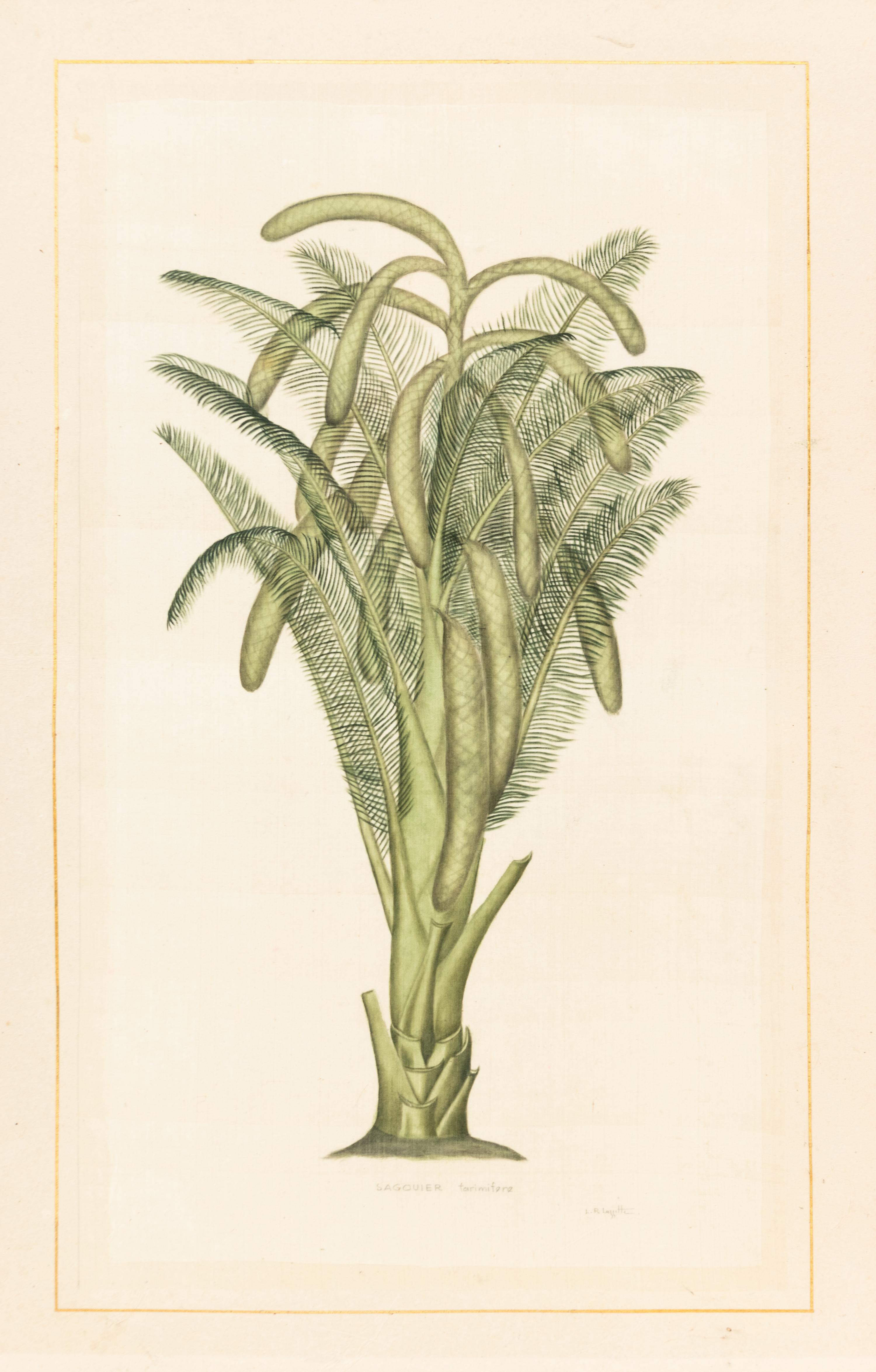 La Roche Laffitte