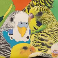 Loewe, Parakeet-Print Flamenco Bag