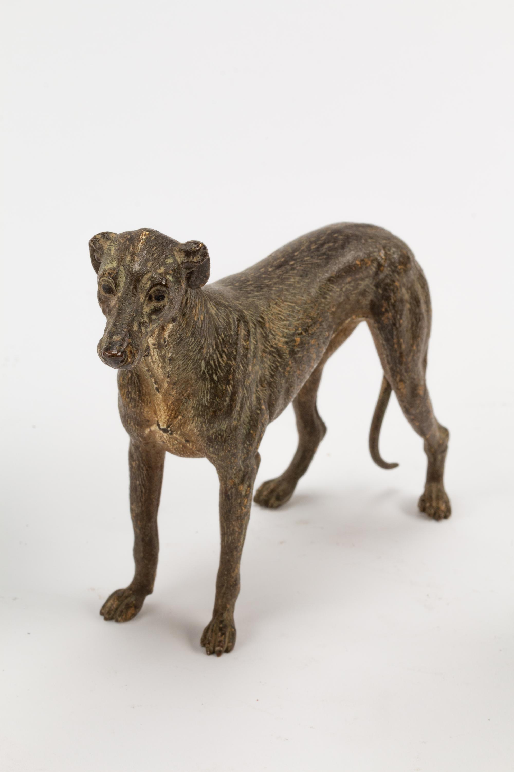 Five Austrian Cold Painted Bronze Dogs