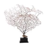 A Black Coral Branch Specimen and Red Coral Specimen