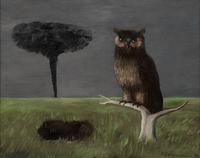 Owl and Tornado