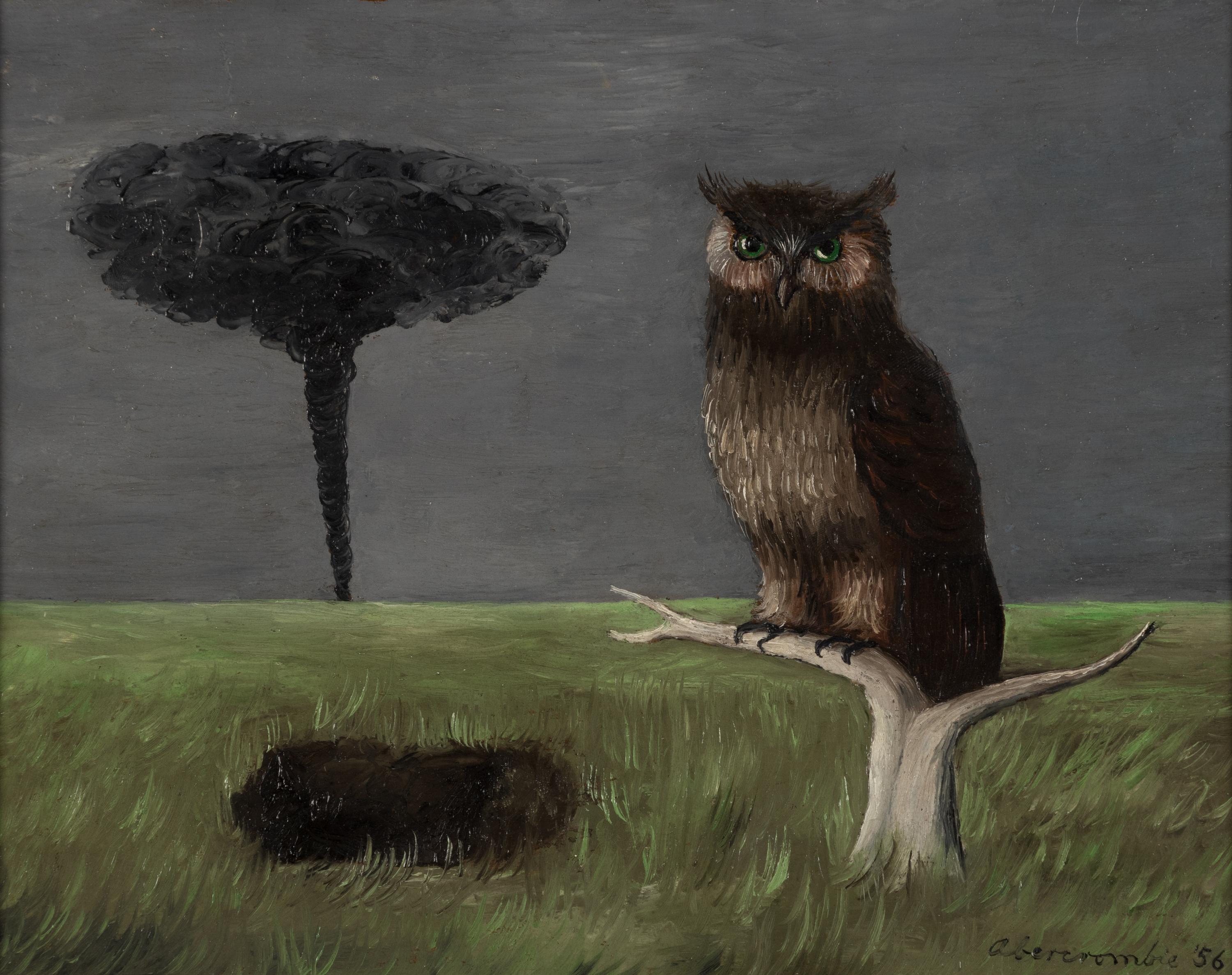 Owl and Tornado