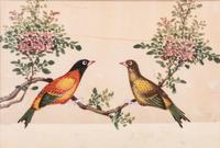 Seven Chinese Export Pith Paintings of Perched Birds and Flowers