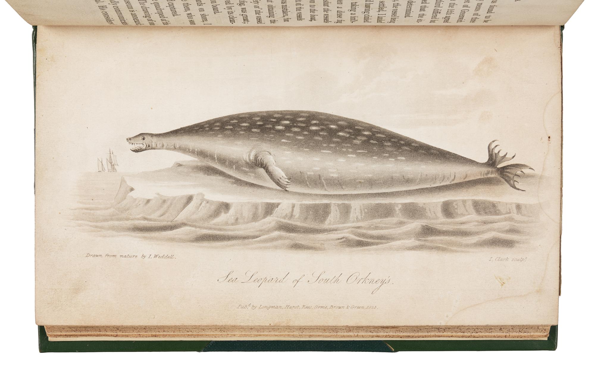 WEDDELL, James (1787-1834). A Voyage towards the South Pole, performed in the years 1822-24. Containing an Examination of the Antarctic