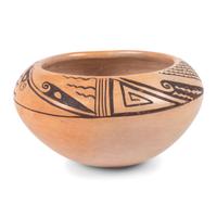 Hopi Pottery Jar and Navajo Regional Weaving / Rug