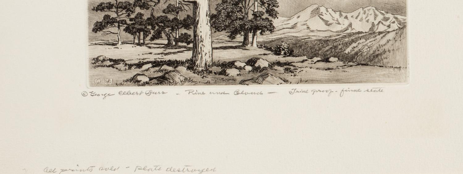 Two Works: Pine and Clouds and Hassayampa River- Arizona