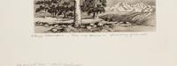 Two Works: Pine and Clouds and Hassayampa River- Arizona