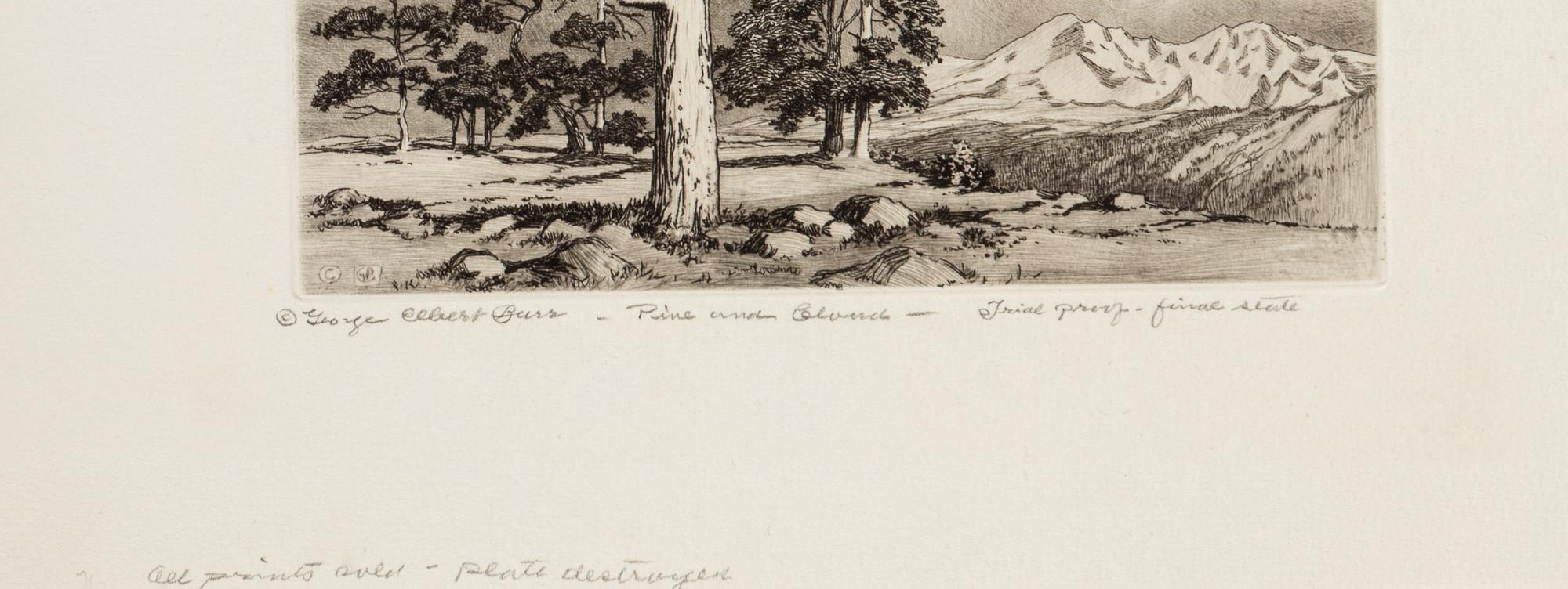 Two Works: Pine and Clouds and Hassayampa River- Arizona