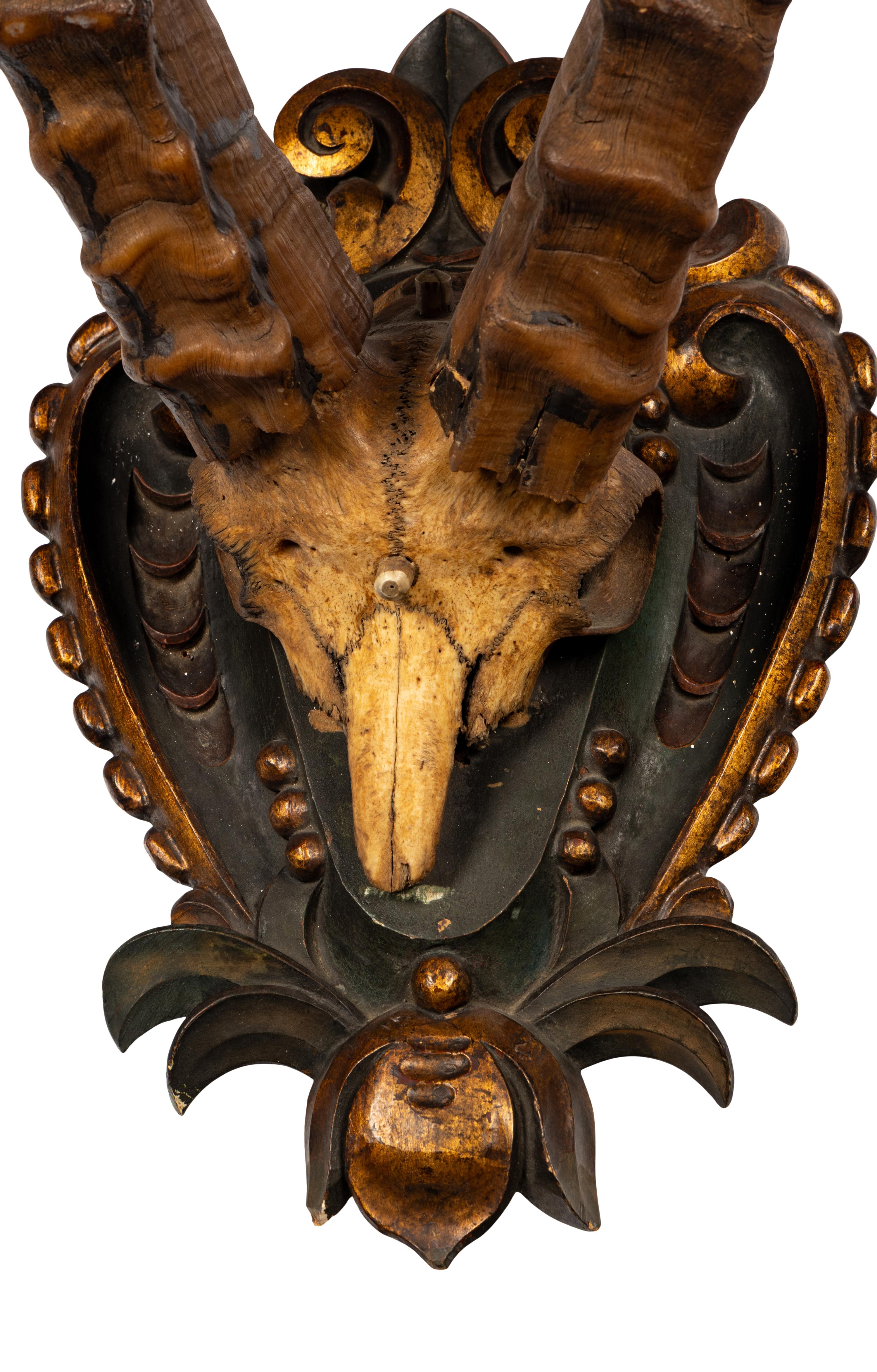 A Taxidermy Ibex Antler Mount