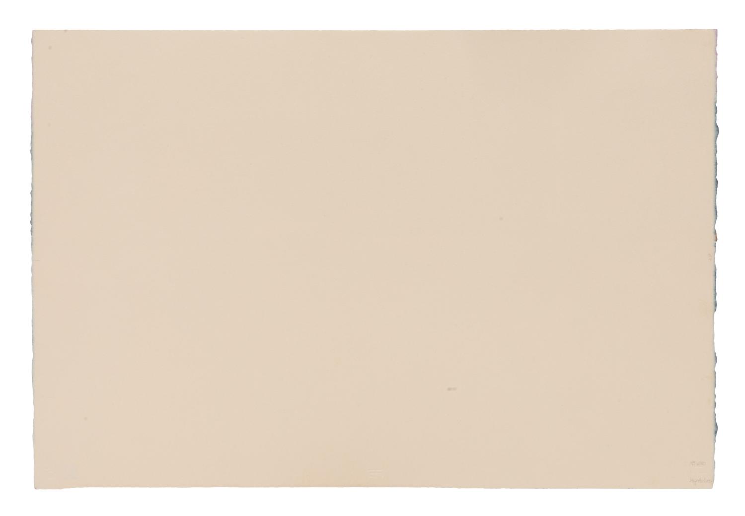 Mystery Horse , Artist's Proof