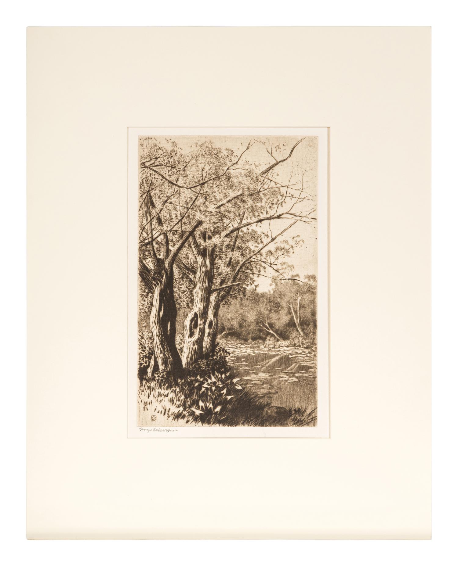 Willows