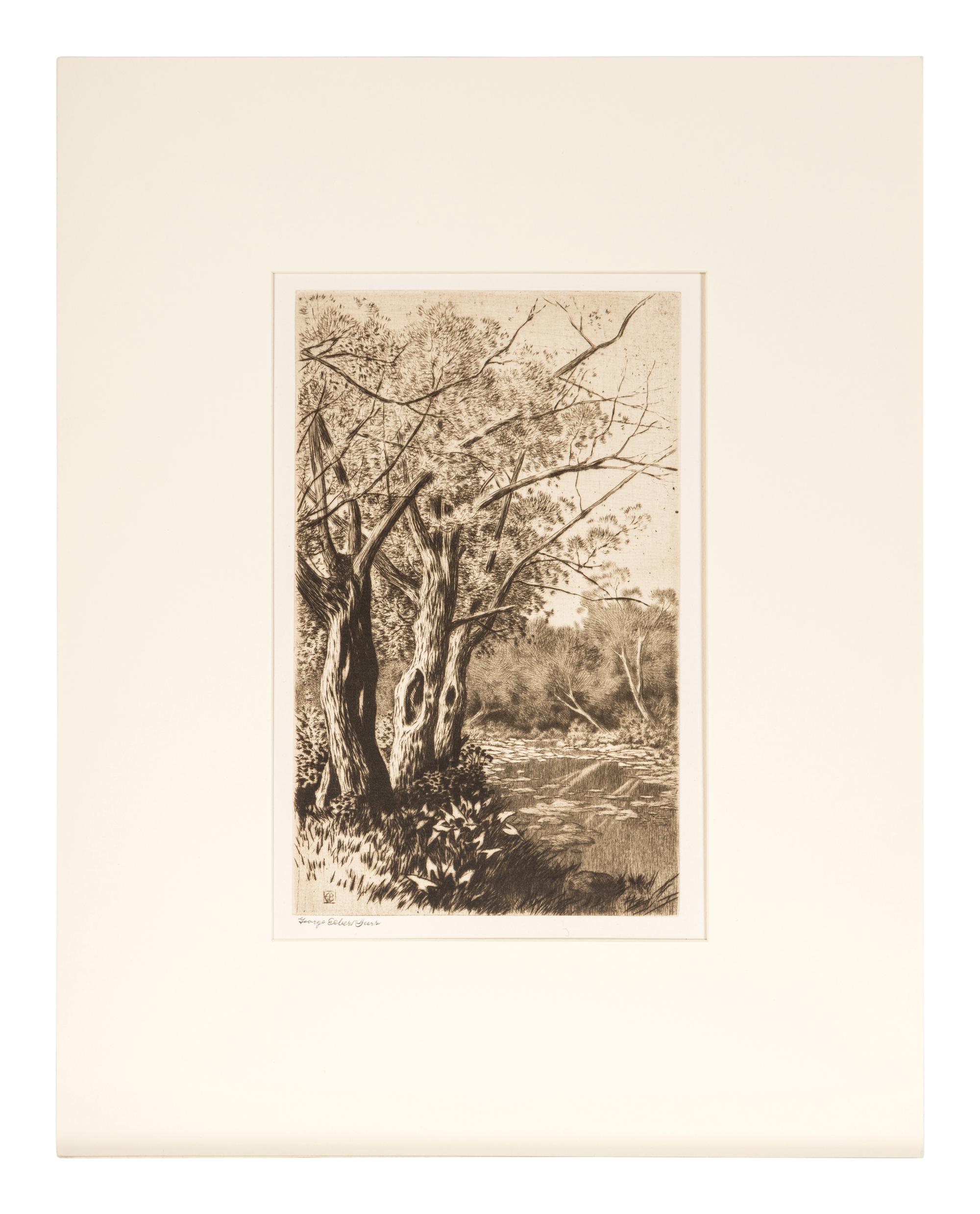 Willows