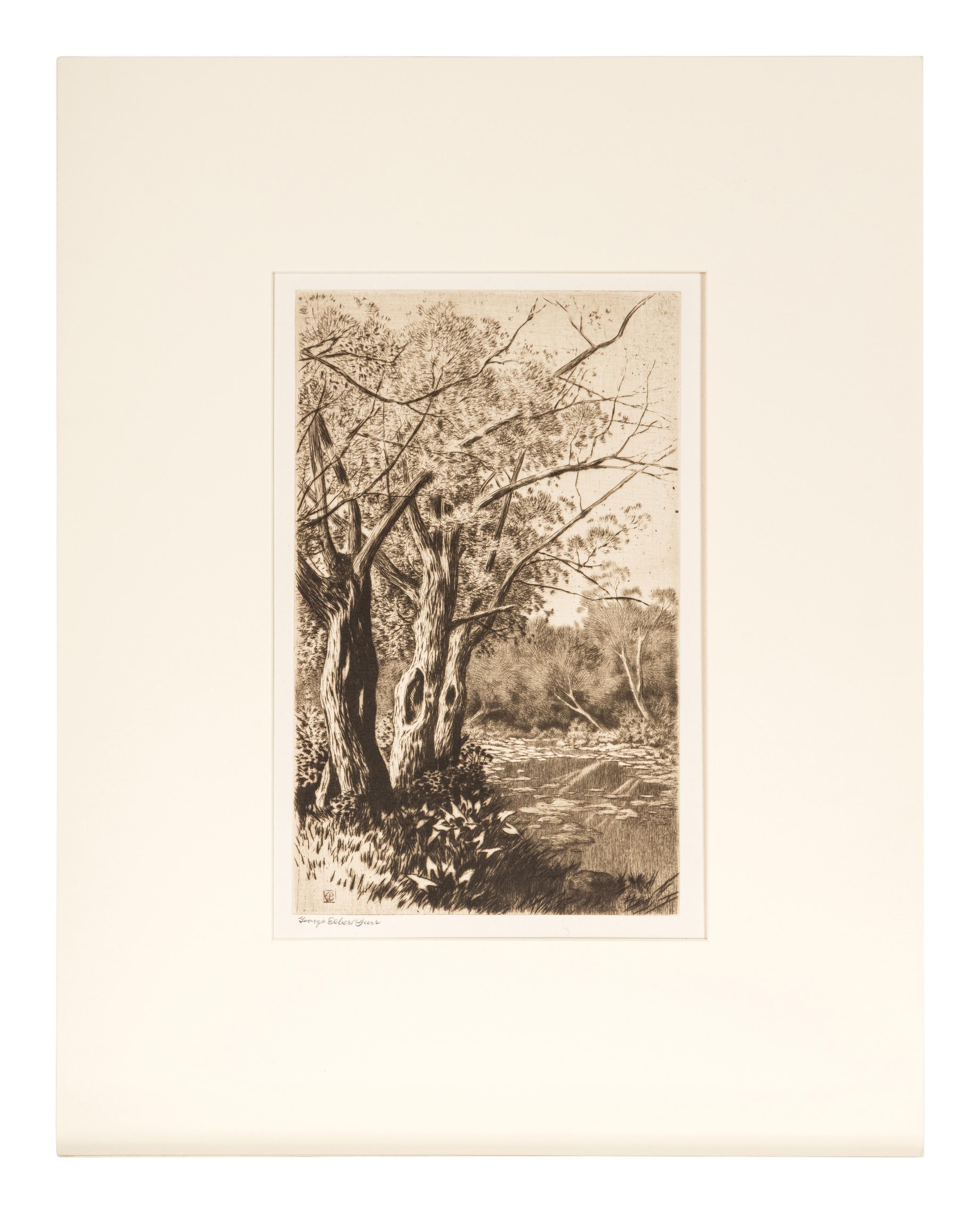 Willows