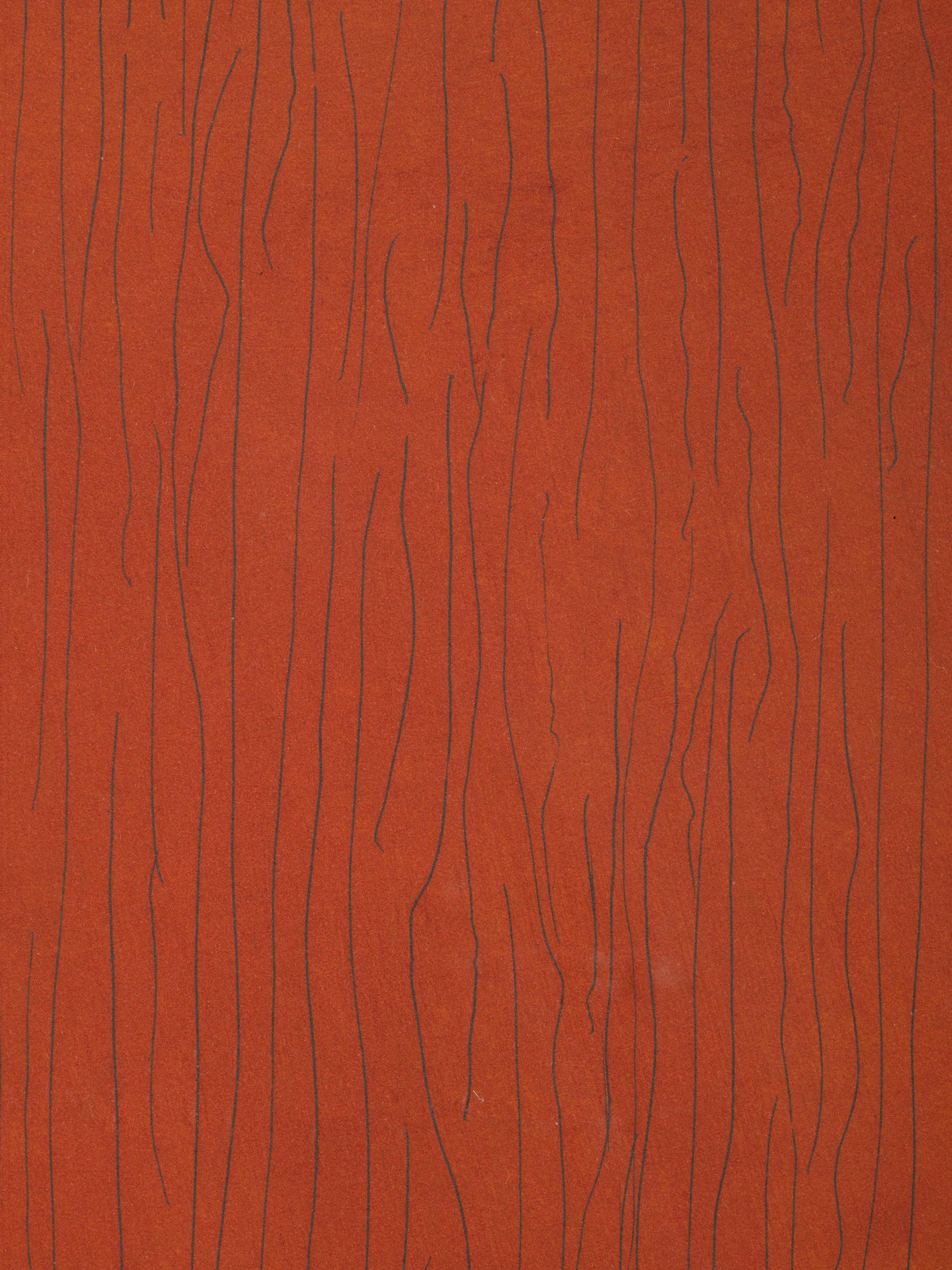 Vertical Lines Not Straight Not Touching on Color (plate numbers 1, 2, and 5 from the portfolio of six)