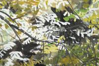 Dan Wingren (American, 1923-1998)