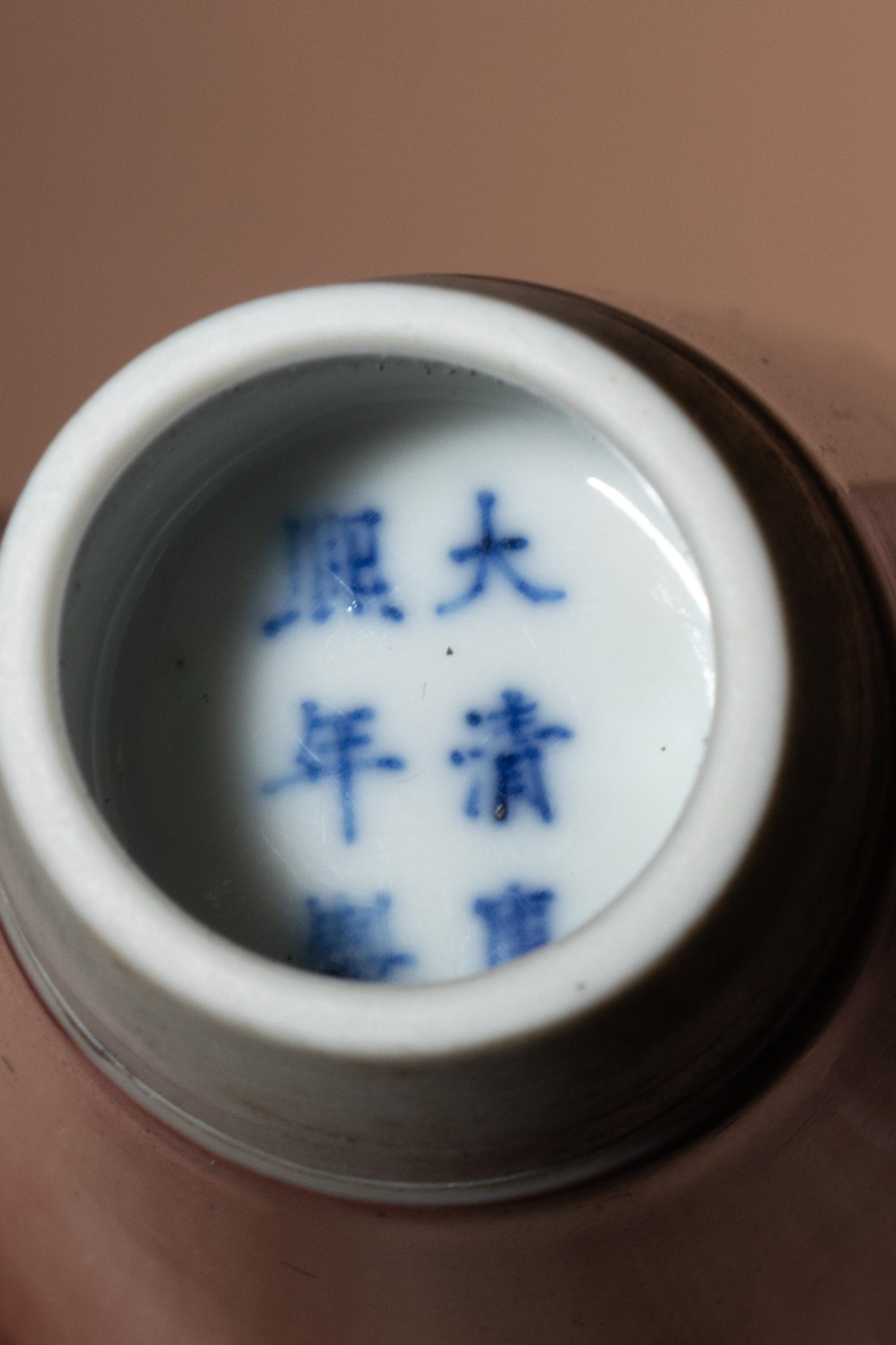 A Peachbloom Glazed Porcelain 'Willow Leaf' Amphora Vase, Liuyezun
