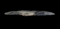 A Neolithic Flint Trifacial Dagger