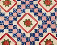 A Pieced Quilt: Irish Chain and Flowerhead Blocks