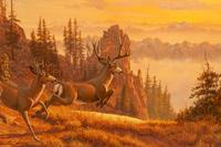 High Country , 1990