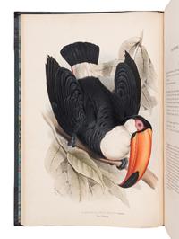 [NATURAL HISTORY]. GOULD, John (1804-1881). A Monograph of the Ramphastidae, or Family of Toucans . London: Published by the Author, [1833-] 1834 [-1835].