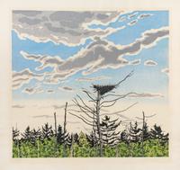 A Pair of Prints ( Osprey's Nest, 1979-80; Big Flowage , 1979)