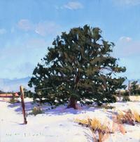 Winter Piñon , 1995