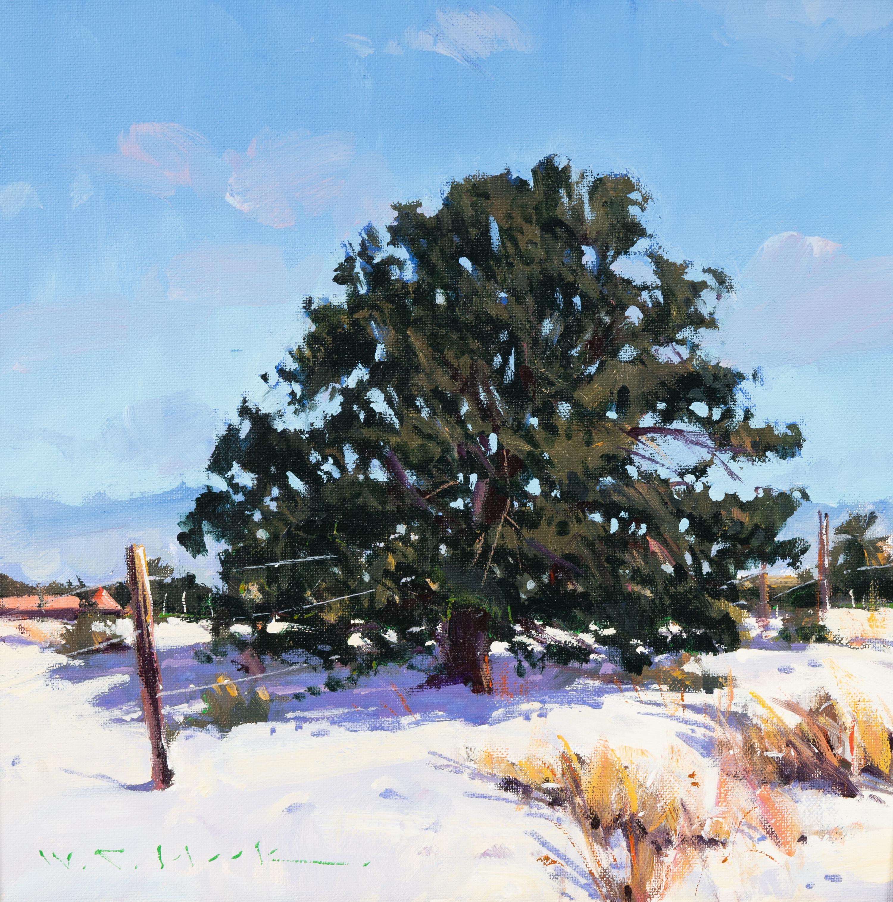Winter Piñon , 1995