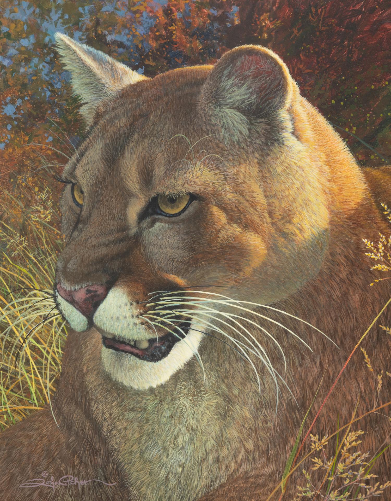Eyes of the Mountain , 1996