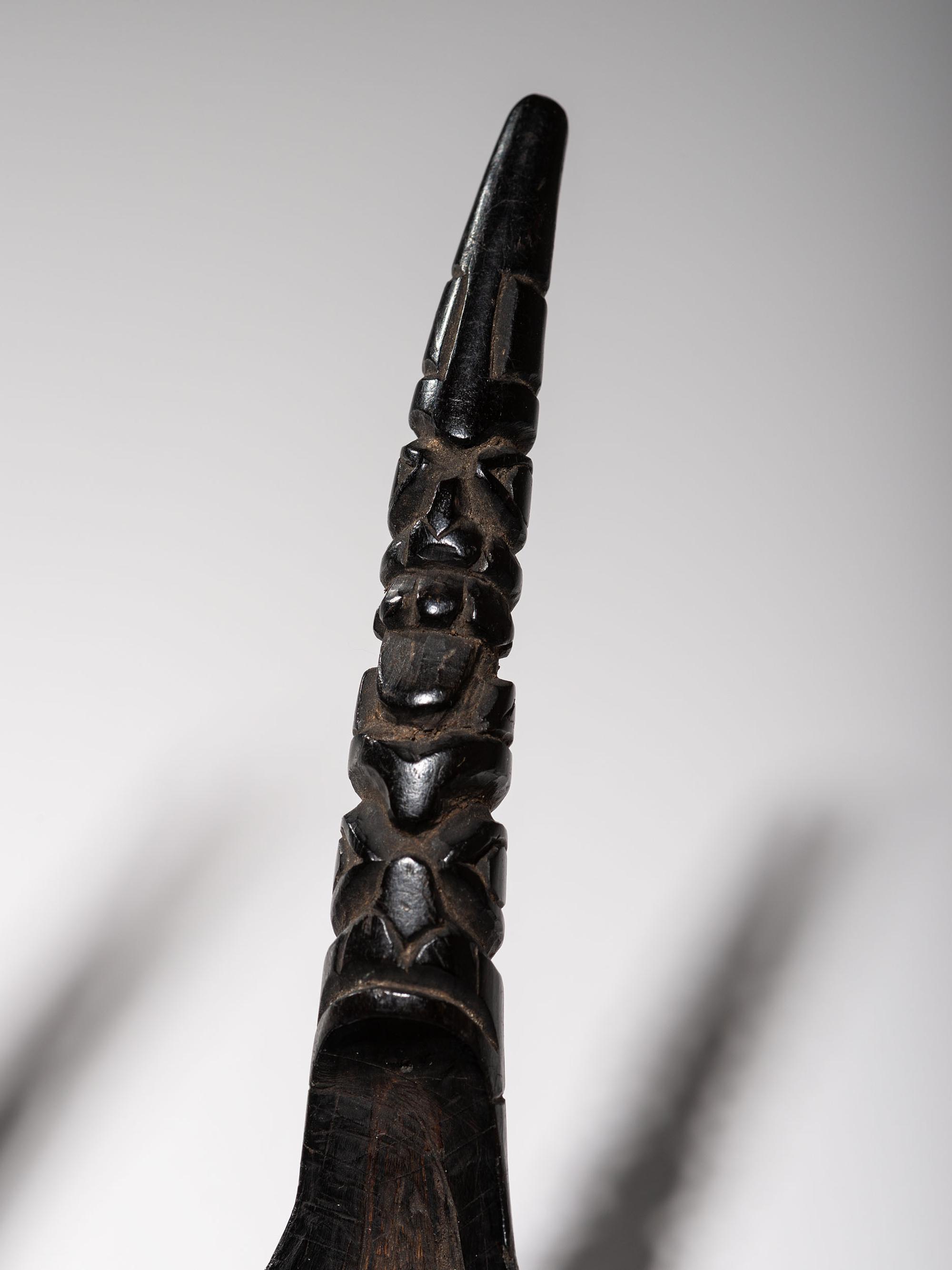 Collection of Northwest Coast Carved Totemic Spoons