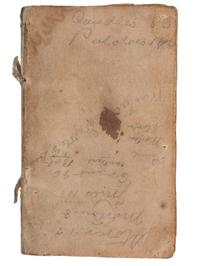 [CIVIL WAR]. Diary of Assistant Surgeon Robert P. Davis, 84th Indiana Regiment.