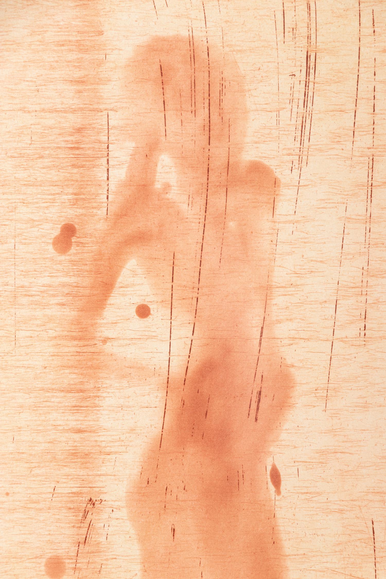 Copper Plate Nude #6