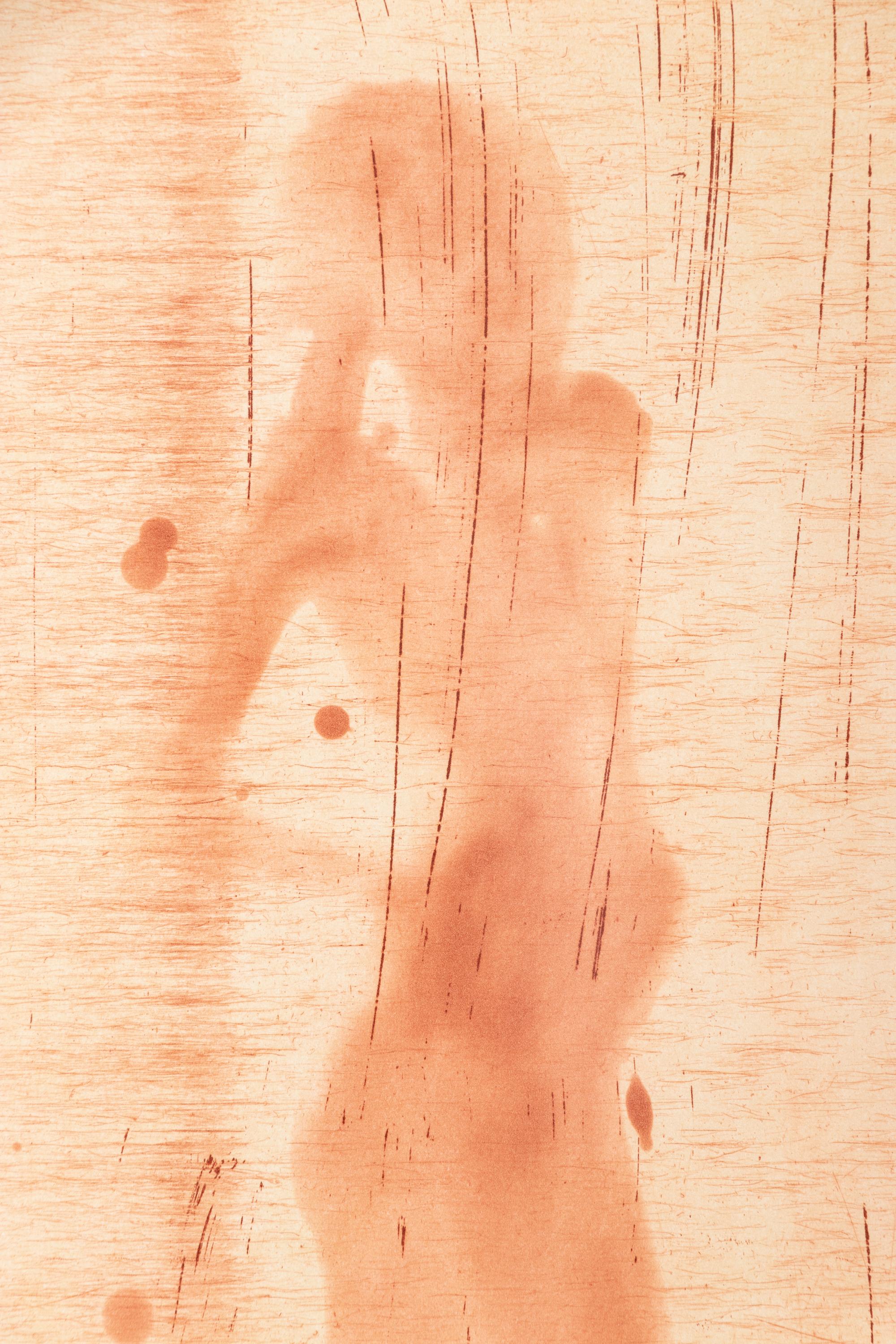 Copper Plate Nude #6