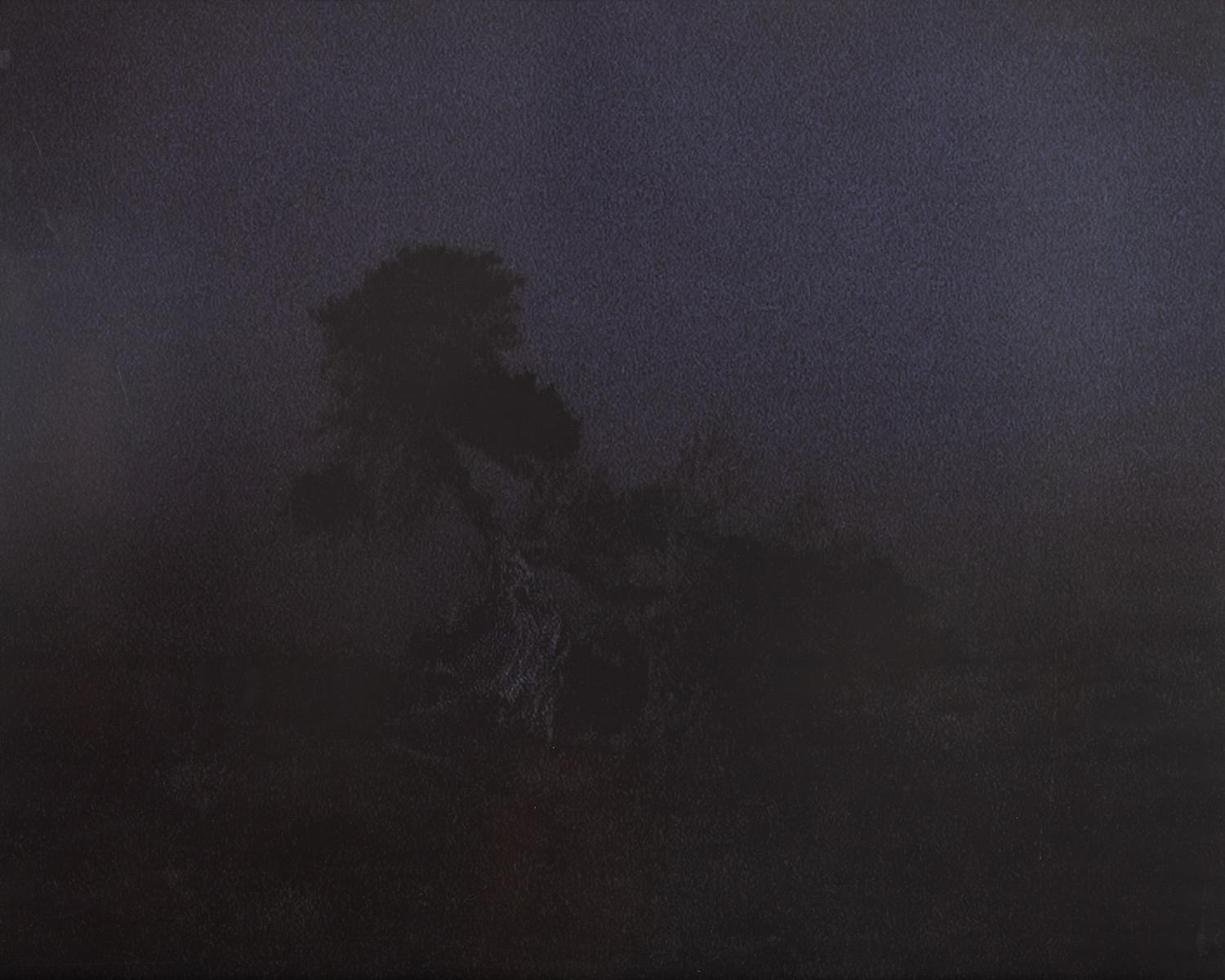 The Tree at the Edge of the World, Sabmar, La Dahesa, El Hierro, March, 2002-2004