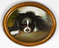A Group of Twelve Dog Paintings