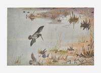 [Sporting] Rickman, Philip: Group of 2 Original Illustrations of Game Birds