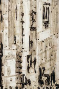 Improvisations of New York (13)