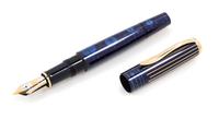 A Pelikan Caelum Limited Edition Fountain Pen