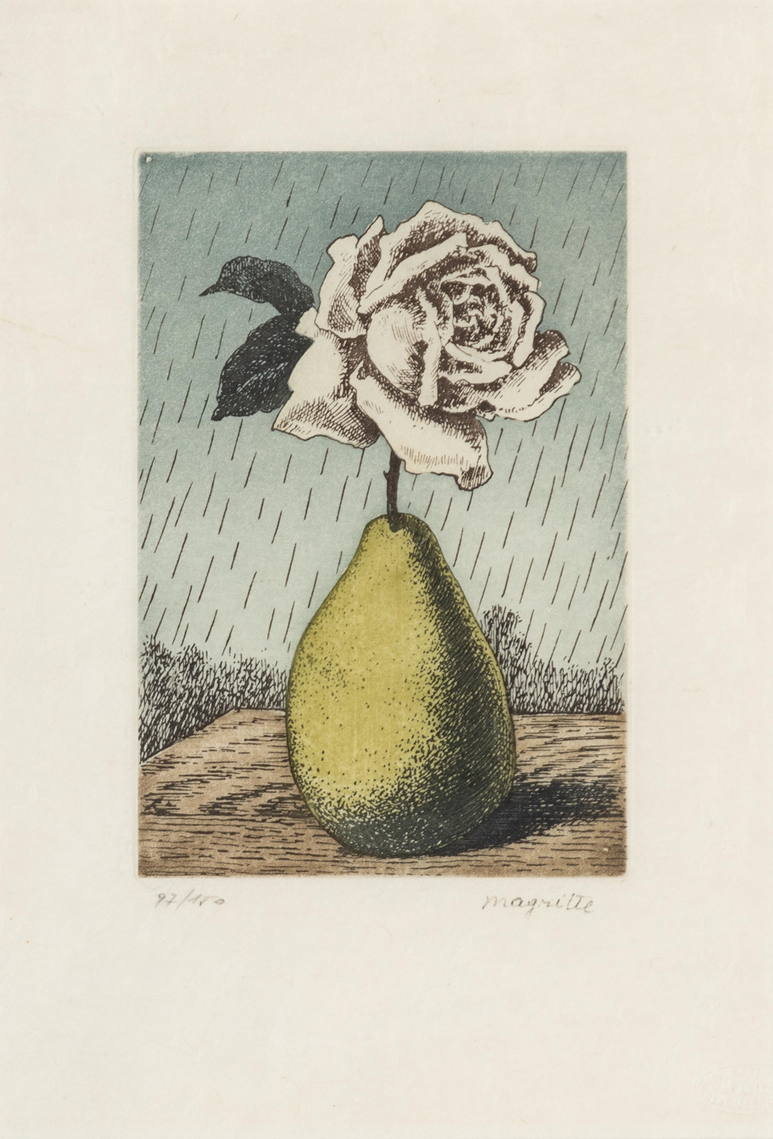 Untitled (Pear and Rose) (from Les Moyens d'Existence)