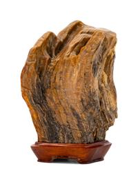 A Chinese Petrified Wood Scholar's Rock