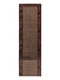 A Shirvan Runner