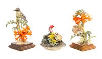Three Royal Worcester Porcelain Models of Birds Height of larger phoebe 9 1/4 inches. — MODELED BY DOROTHY DOUGHTY