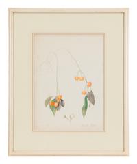 Cherry Branch with Two Roses
