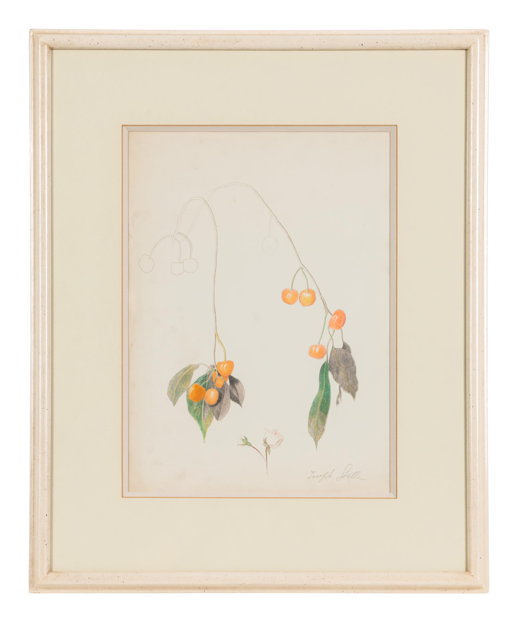 Cherry Branch with Two Roses
