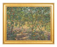 Orange Grove, Geneva, Florida , 2012
