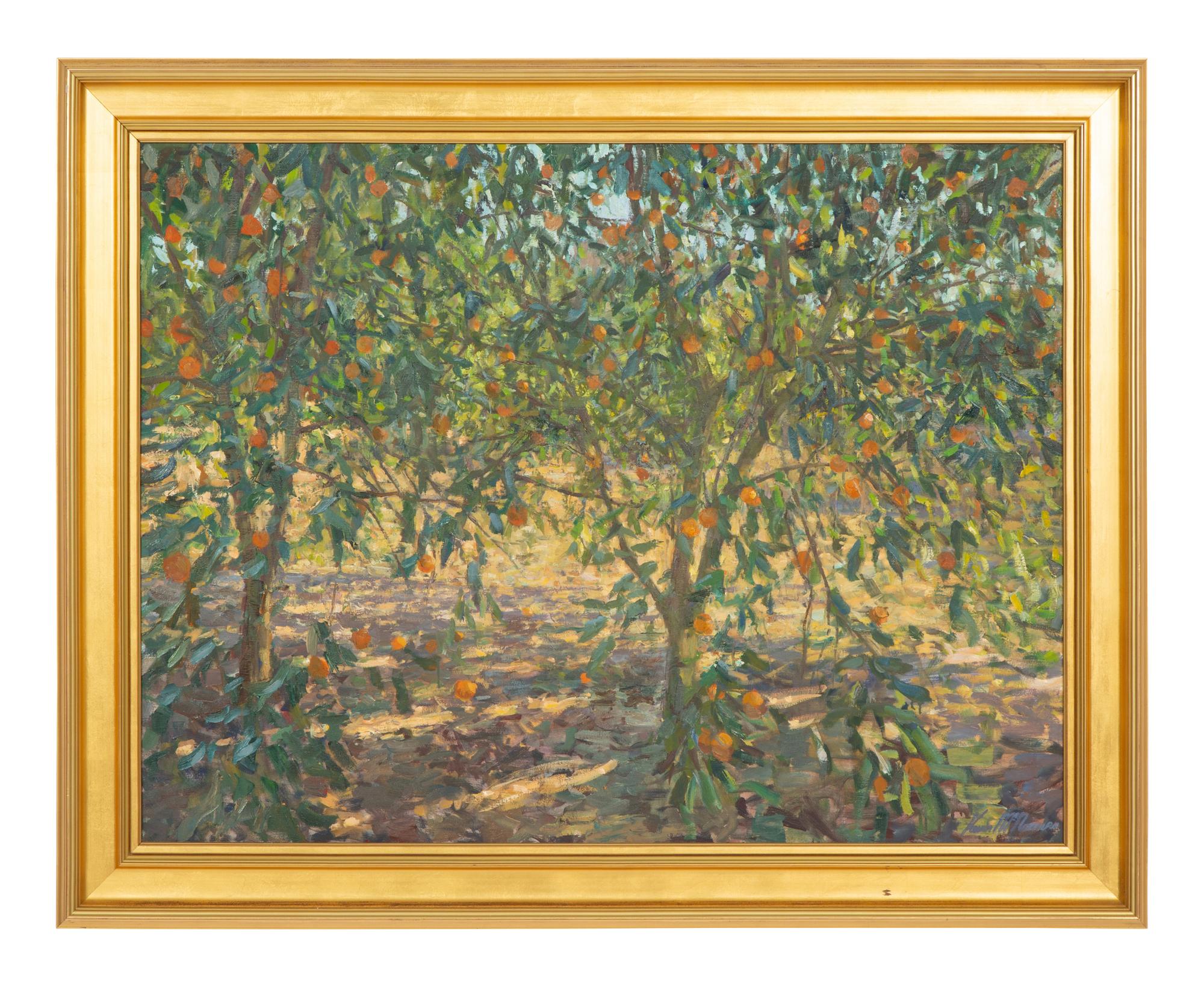 Orange Grove, Geneva, Florida , 2012