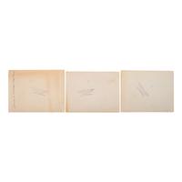 [WESTERN AMERICANA - EARLY PHOTOGRAPHY]. A group of albumen and silver gelatin photographs of the Pacific Northwest and other Western areas, including: