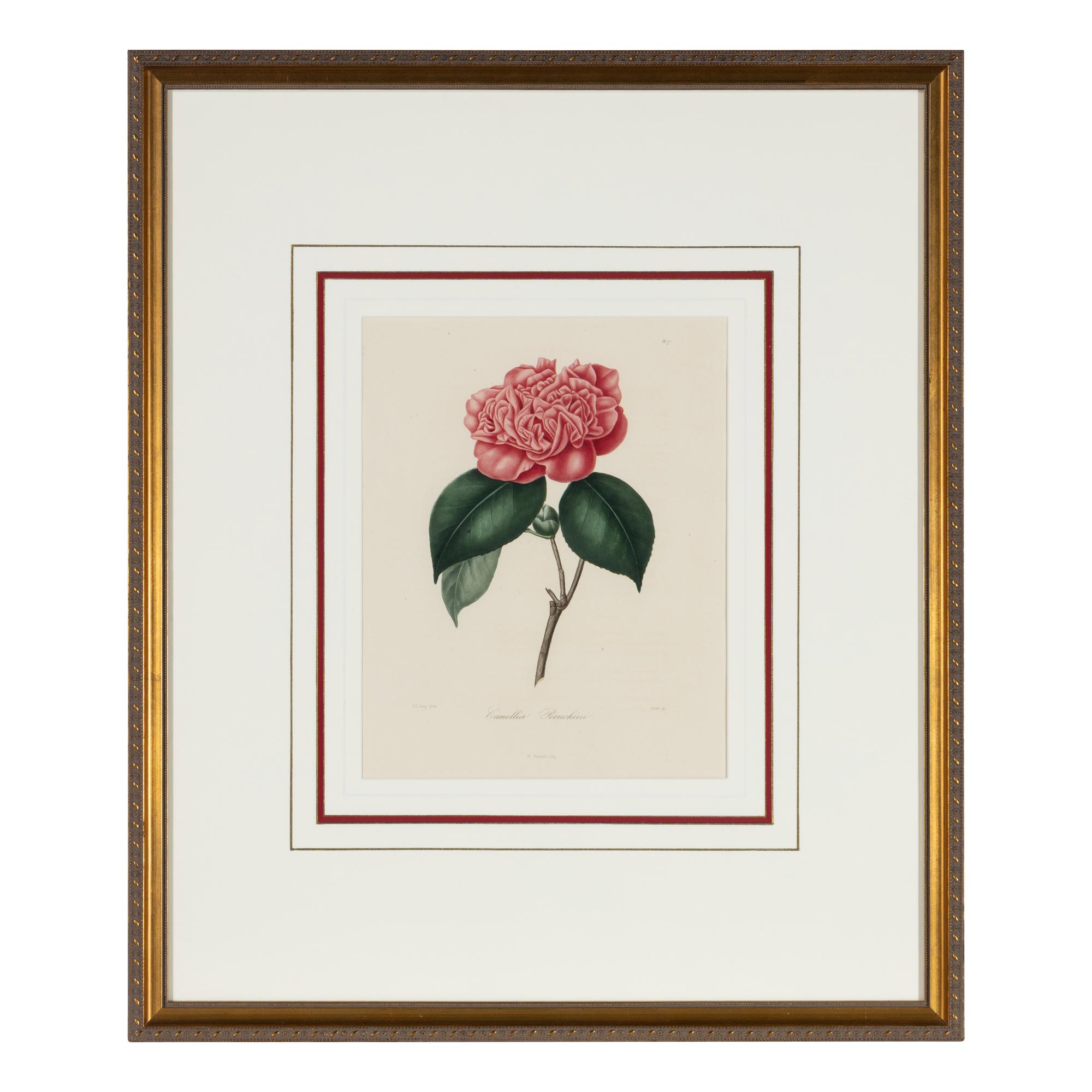 A Set of Five French Botanical Prints