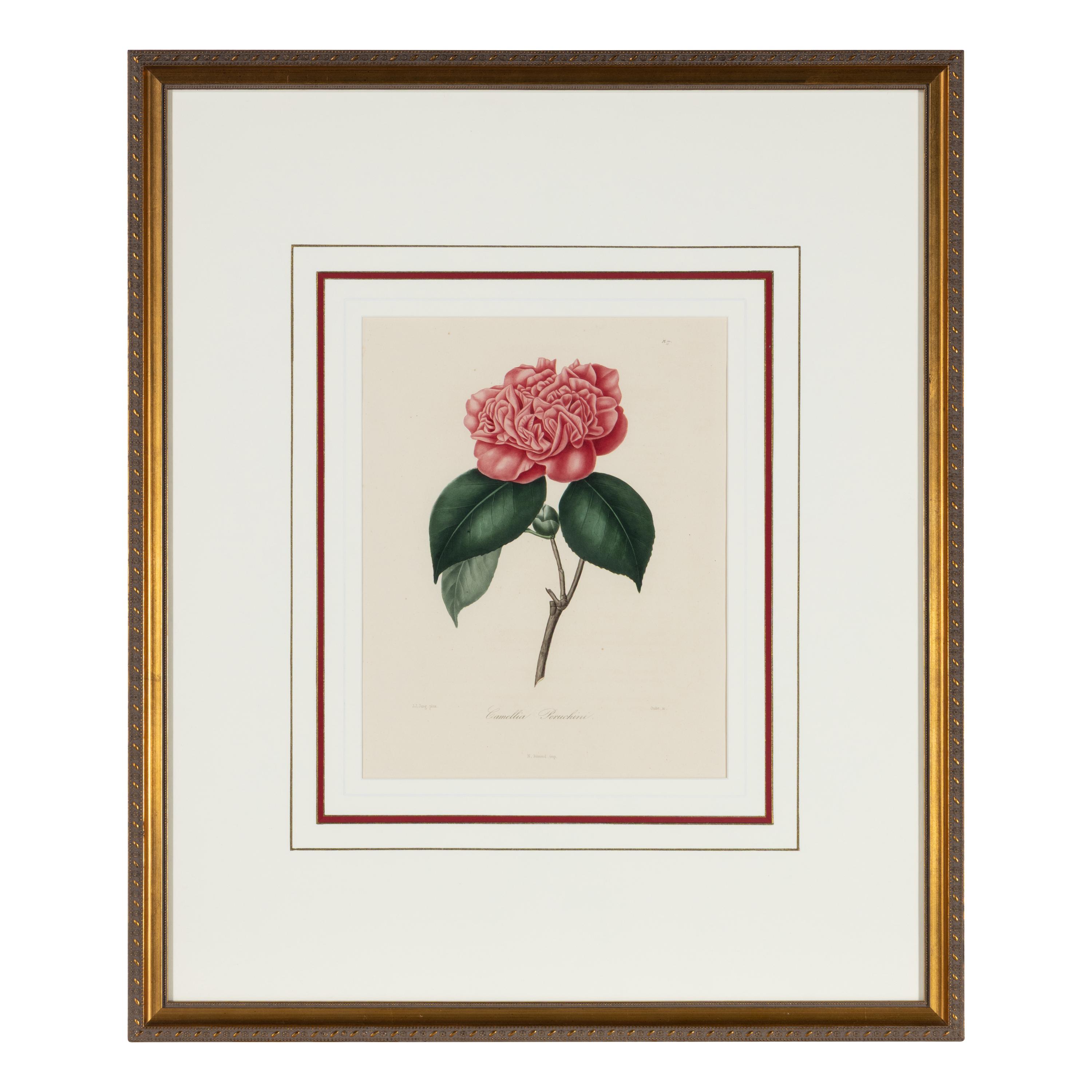 A Set of Five French Botanical Prints